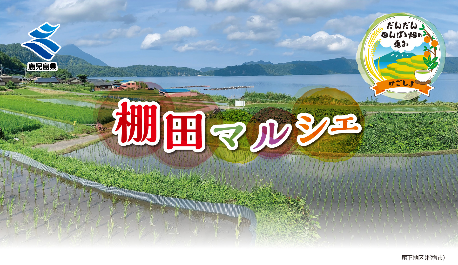 鹿児島県棚田マルシェ等開催特設サイト ーだんだん田んぼと畑の恵みー